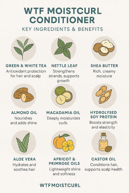 Moistcurl conditioner key ingredients and benefits infographic